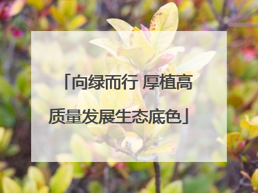向绿而行 厚植高质量发展生态底色
