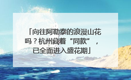向往阿勒泰的浪漫山花吗？杭州藏着“同款”，已全面进入盛花期