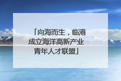 向海而生，临港成立海洋高新产业青年人才联盟