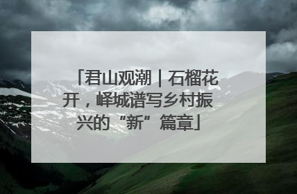 君山观潮｜石榴花开，峄城谱写乡村振兴的“新”篇章