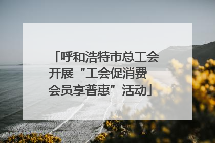 呼和浩特市总工会开展“工会促消费 会员享普惠”活动