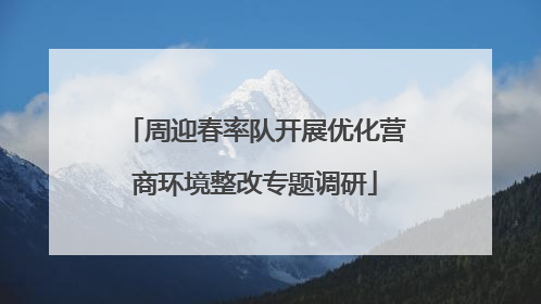 周迎春率队开展优化营商环境整改专题调研
