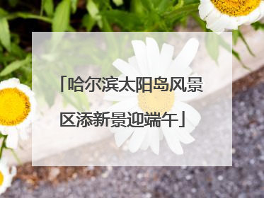 哈尔滨太阳岛风景区添新景迎端午