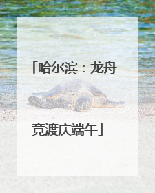 哈尔滨：龙舟竞渡庆端午