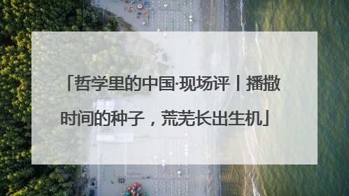 哲学里的中国·现场评丨播撒时间的种子，荒芜长出生机