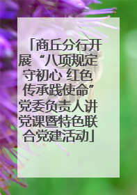 商丘分行开展“八项规定守初心 红色传承践使命”党委负责人讲党课暨特色联合党建活动