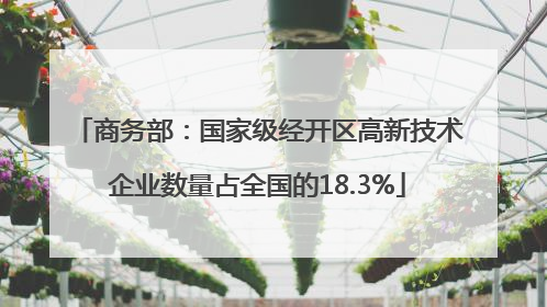 商务部：国家级经开区高新技术企业数量占全国的18.3%