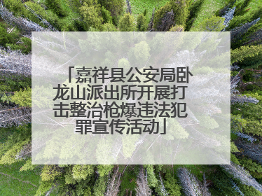 嘉祥县公安局卧龙山派出所开展打击整治枪爆违法犯罪宣传活动