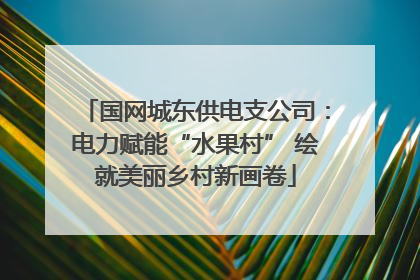 国网城东供电支公司：电力赋能“水果村” 绘就美丽乡村新画卷
