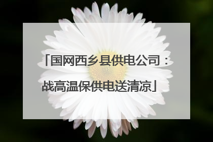 国网西乡县供电公司：战高温保供电送清凉