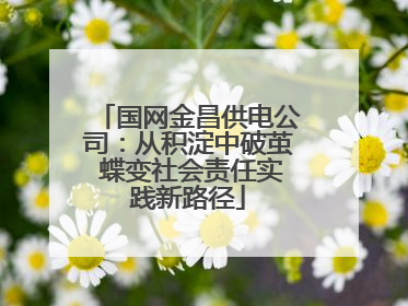 国网金昌供电公司：从积淀中破茧 蝶变社会责任实践新路径