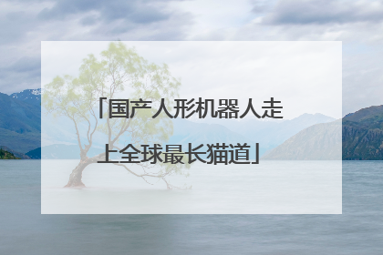 国产人形机器人走上全球最长猫道