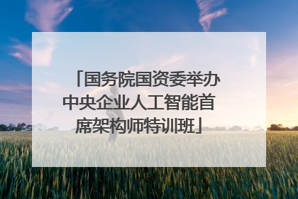国务院国资委举办中央企业人工智能首席架构师特训班