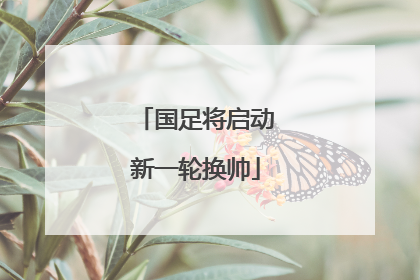 国足将启动新一轮换帅