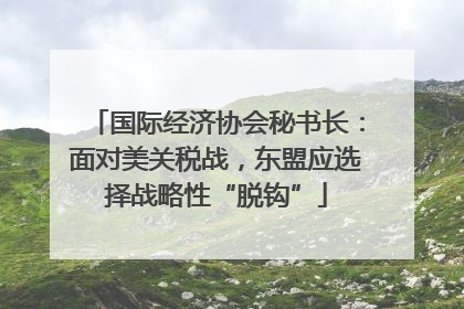 国际经济协会秘书长：面对美关税战，东盟应选择战略性“脱钩”