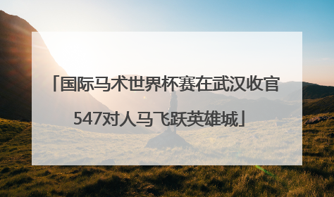 国际马术世界杯赛在武汉收官 547对人马飞跃英雄城