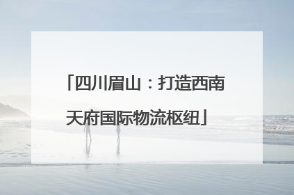 四川眉山：打造西南天府国际物流枢纽