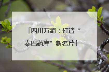 四川万源：打造“秦巴药库”新名片