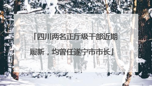 四川两名正厅级干部近期履新，均曾任遂宁市市长
