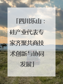 四川乐山：硅产业代表专家齐聚共商技术创新与协同发展