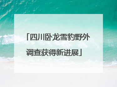 四川卧龙雪豹野外调查获得新进展