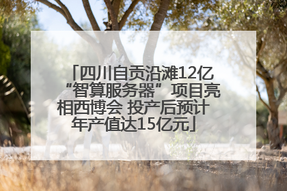 四川自贡沿滩12亿“智算服务器”项目亮相西博会 投产后预计年产值达15亿元