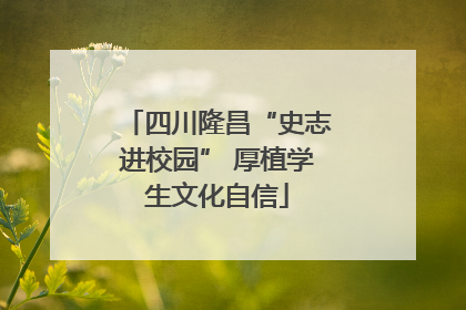 四川隆昌“史志进校园” 厚植学生文化自信