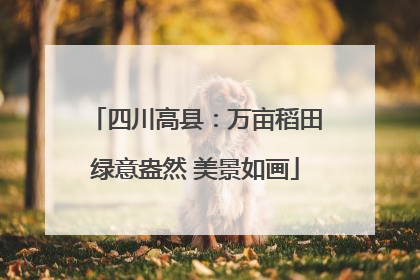 四川高县：万亩稻田绿意盎然 美景如画