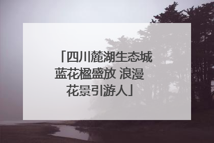 四川麓湖生态城蓝花楹盛放 浪漫花景引游人