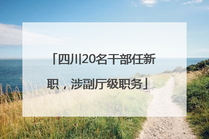 四川20名干部任新职，涉副厅级职务