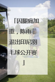 因腿痛加重，陈雨菲退出印尼羽毛球公开赛