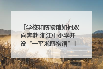 学校和博物馆如何双向奔赴 浙江中小学开设“一平米博物馆”