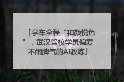 学车全程“和颜悦色”，武汉驾校学员偏爱不闹脾气的AI教练