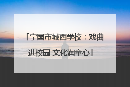 宁国市城西学校：戏曲进校园 文化润童心