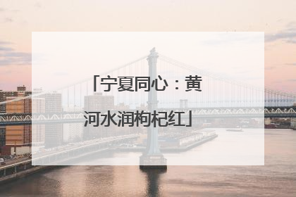 宁夏同心：黄河水润枸杞红