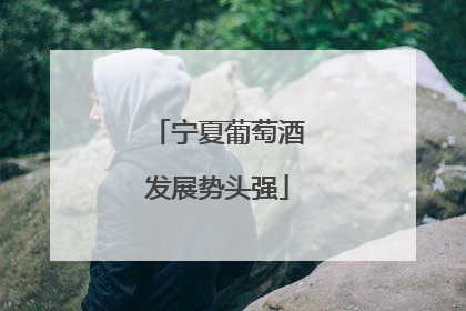 宁夏葡萄酒发展势头强