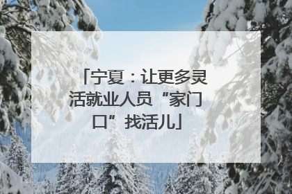 宁夏：让更多灵活就业人员“家门口”找活儿