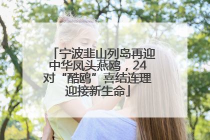 宁波韭山列岛再迎中华凤头燕鸥，24对“酷鸥”喜结连理迎接新生命