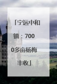 宁远中和镇：7000多亩杨梅丰收