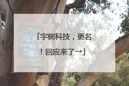 宇树科技，更名！回应来了→