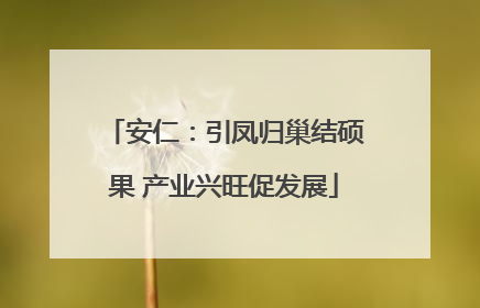 安仁：引凤归巢结硕果 产业兴旺促发展