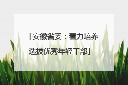 安徽省委：着力培养选拔优秀年轻干部