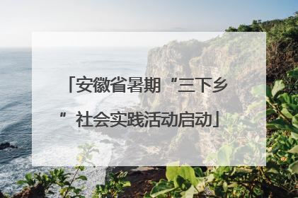 安徽省暑期“三下乡”社会实践活动启动