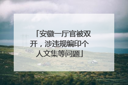 安徽一厅官被双开，涉违规编印个人文集等问题