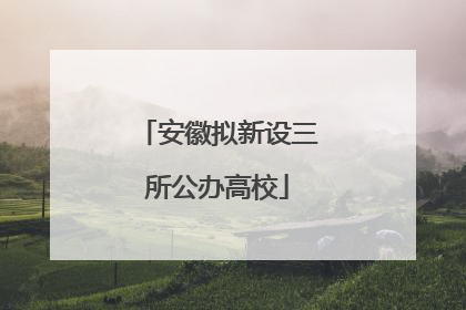 安徽拟新设三所公办高校
