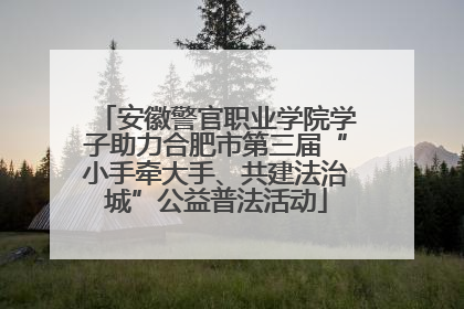 安徽警官职业学院学子助力合肥市第三届“小手牵大手、共建法治城”公益普法活动