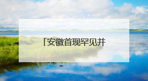 安徽首现罕见并蒂睡莲 概率仅为百万分之一