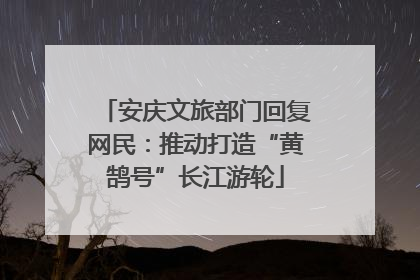 安庆文旅部门回复网民：推动打造“黄鹄号”长江游轮