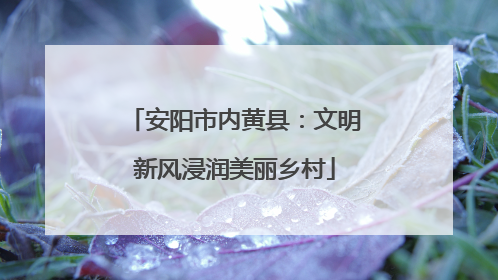 安阳市内黄县：文明新风浸润美丽乡村