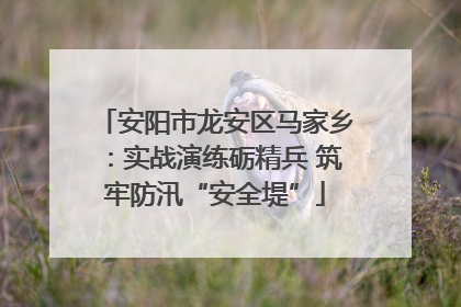 安阳市龙安区马家乡：实战演练砺精兵 筑牢防汛“安全堤”